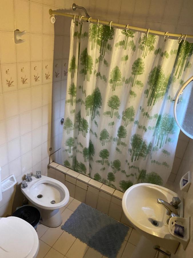 Portillo Apartments Μεντόζα Εξωτερικό φωτογραφία